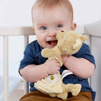 WINNIE THE POOH Rainbow Designs - Hundred Acre Wood - Baby Comfort Blanket, 200 g,RBD-TOY44
