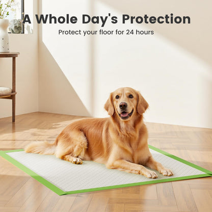 Gardner Pet Extra Large Puppy Pads 70x85cm, Super Absorbent Thicker Puppy Training Pads, 6 Layers of Leak-proof, Fast Drying, Suitable for Dogs, Cats, Rabbits (30 Pack)