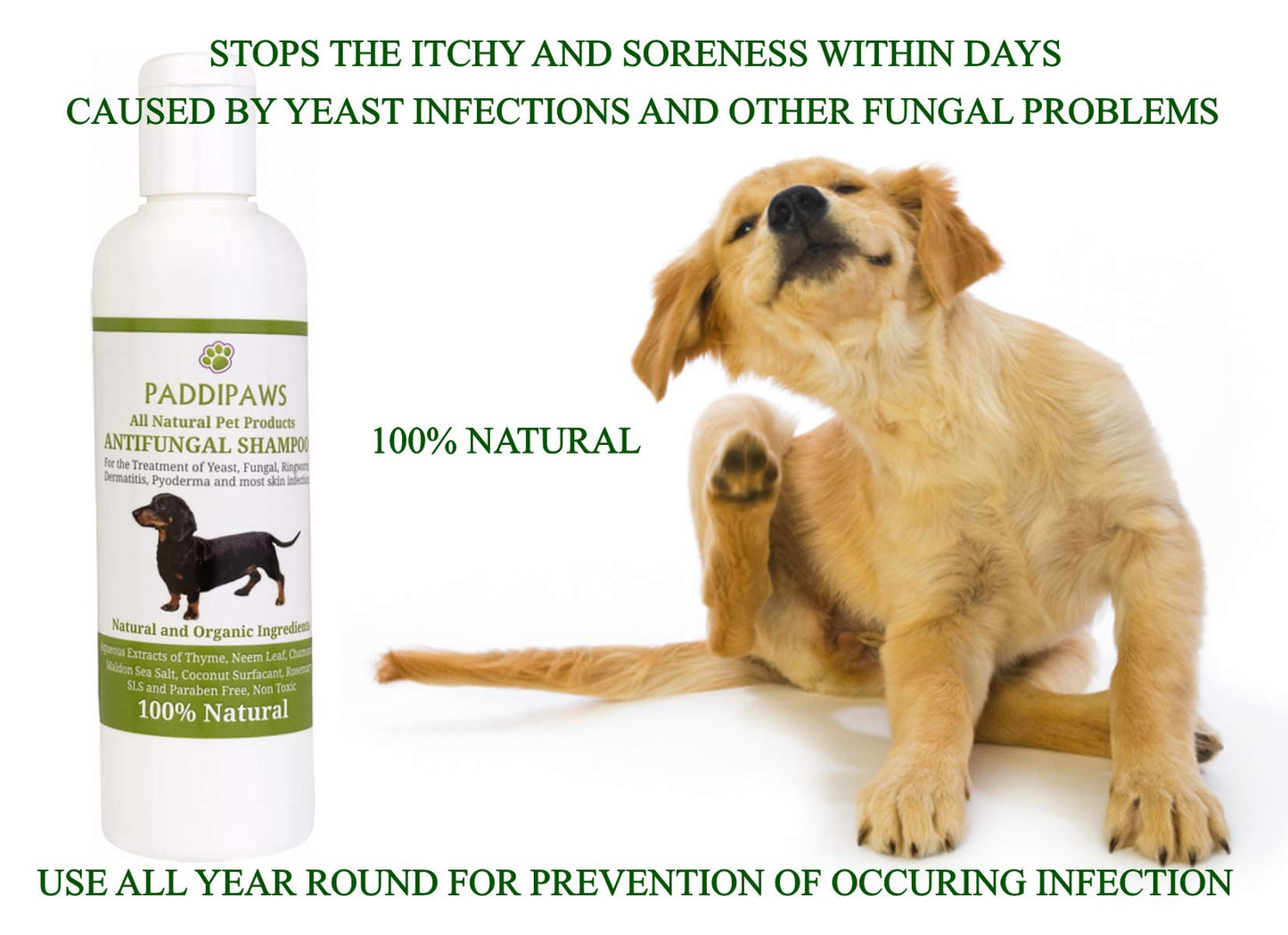 100% Natural Antifungal and Antibacterial Dog Shampoo - Yeast Infections, Ringworm, Dermatitis, Pyoderma - Safe - Natural - Paraben and SLS Free - 250ml - Larger bottle available from the store.