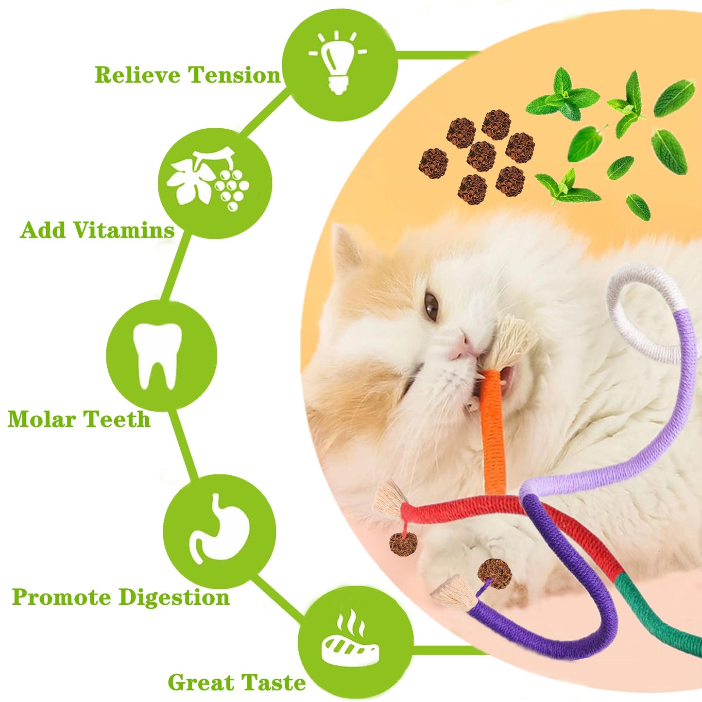 GREMBEB Cat Toys 21PCS Catnip Toy for Indoor Kitten Toys Cat Chew Stick for Dental Cleaning Teeth Cat Silvervine Matatabi Rope Treat Kitty Feather Snack for for Kick Molar Scratch Self Play