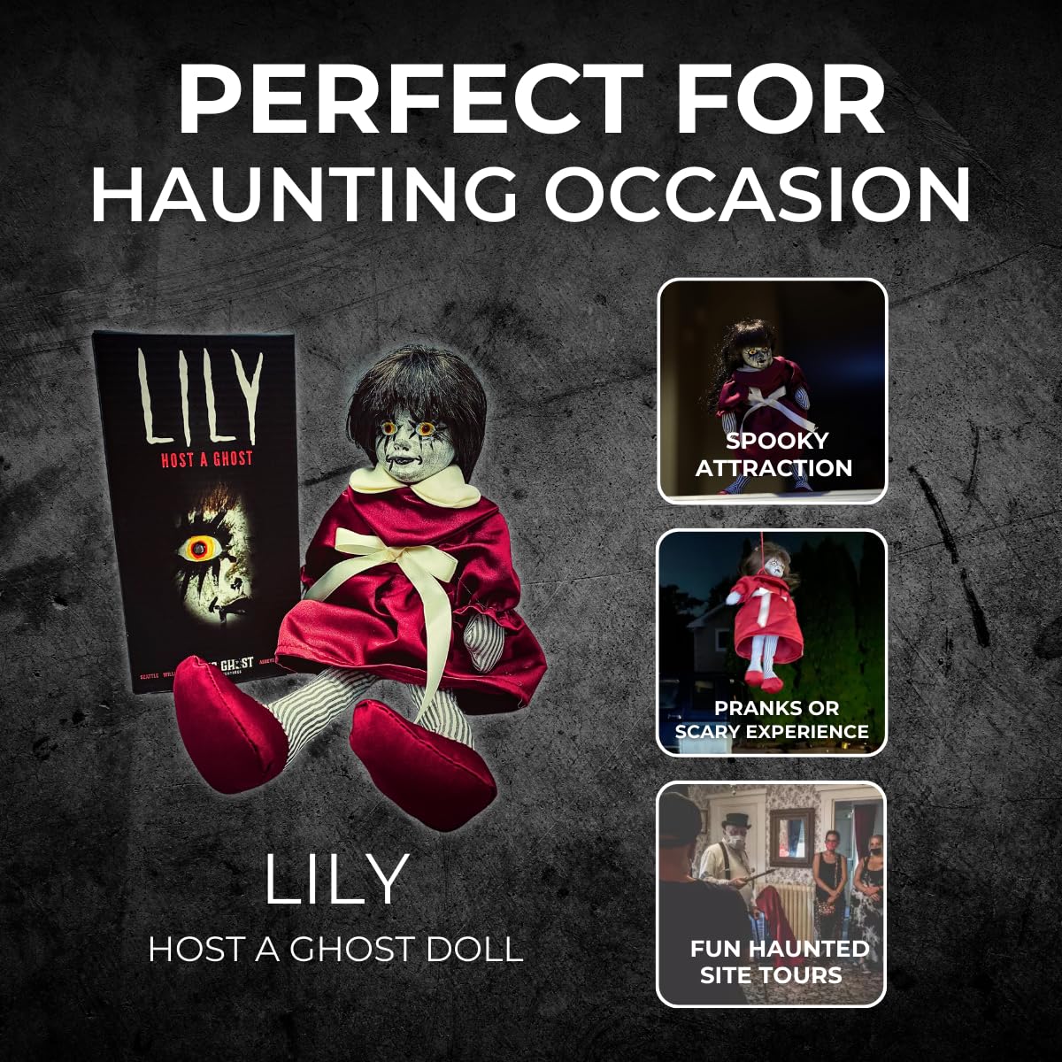 Lily: Host a Ghost – 13" Creepy Haunted Doll for Protection from Ghosts. Lizzie Borden House Scary Doll for Halloween and True Crime Collectors