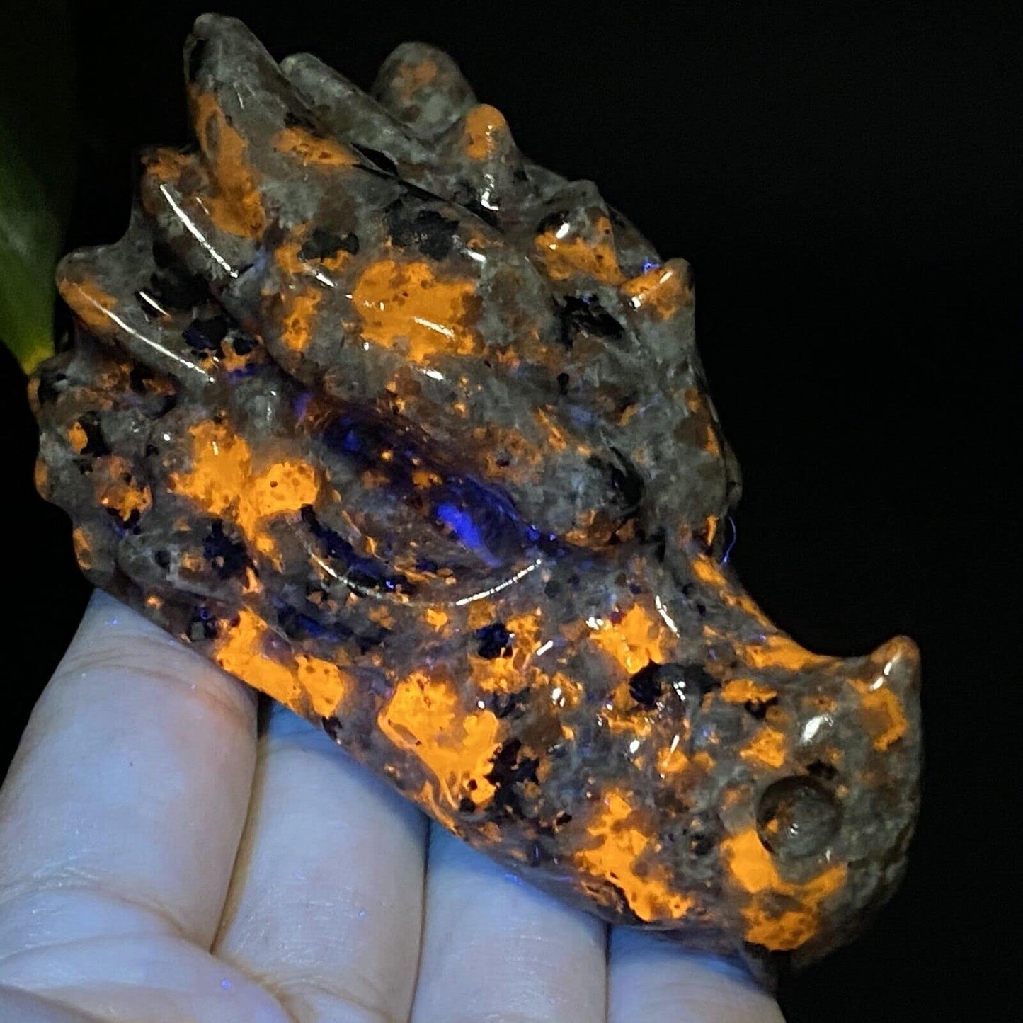 TEAMWILL 3.15" Natural Yooperite Hand Carved Dragon Skull Quartz Crystal Healing 1pc