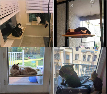 JZK Window Mounted Cat Hammock + Blanket, Suction Cup Pet Bed and Black Blanket for Cat Perch
