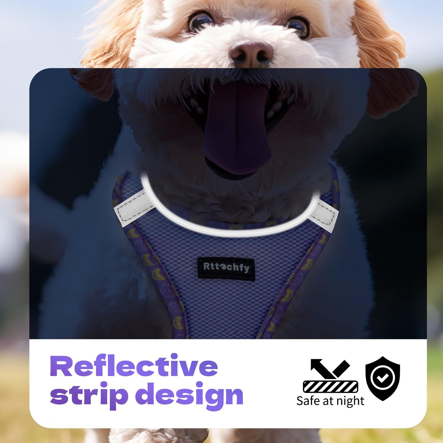 Rttochfy Small Dog Harness, Soft and Reflective Puppy Harness, Dog Harness and Leash Set for Small Size Dogs Training, Walking (Blue M)
