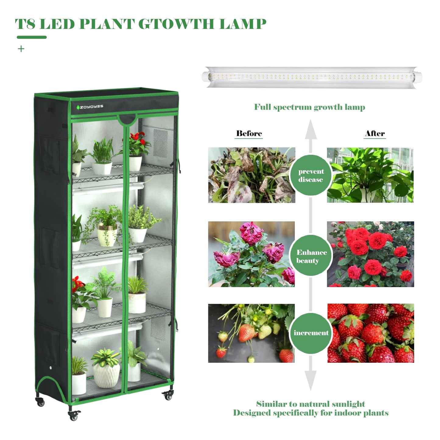 ZOYOYES Indoor Greenhouse Kit with Grow Lights on Cover, 36"W x 18"D x 72"H