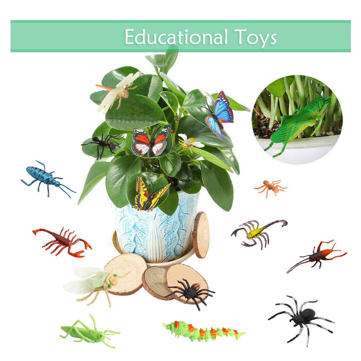 PINOWU Insect Toy Figures for Kids - 24pcs, 2-4' Fake Bugs - Spiders, Cockroaches, Scorpions, Crickets, Lady Bugs, Mantis & Worms for Education & Party Favors