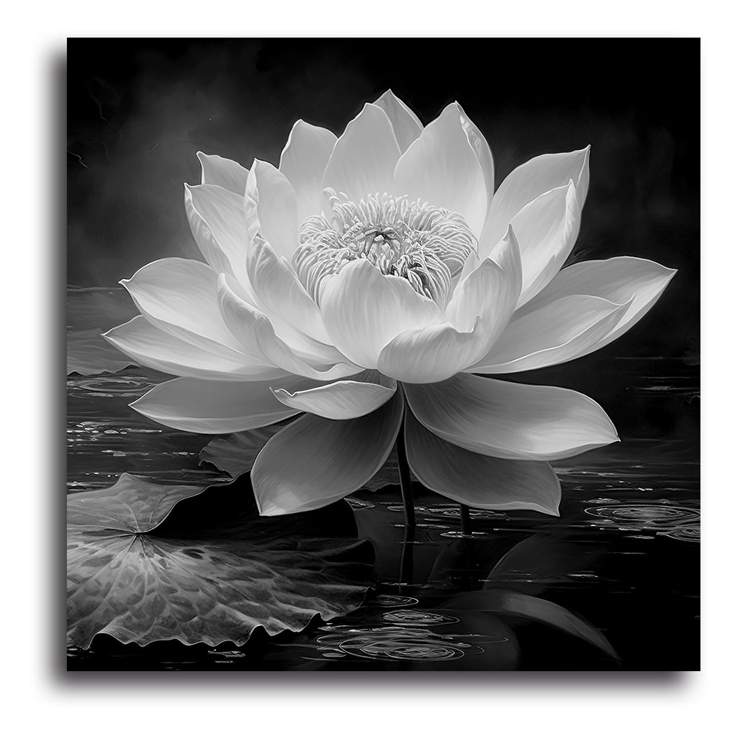 LZIMU Black White Zen Canvas Wall Art Blossom Lotus Picture Water Lily Prints Spiritual Artwork for Bathroom Meditation Yoga Spa Room Decor(Picture-3, (12.00" x 12.00"))