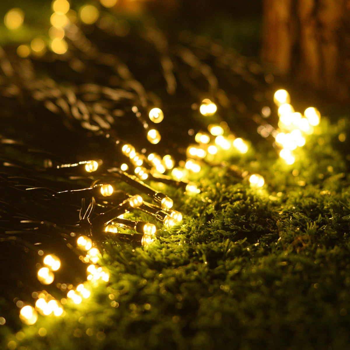 Solar String Lights for Outside, 2 Pack 240 Led Solar Christmas Lights Outdoor Waterproof 82ft Solar Fairy Lights 8 Lighting Mode Solar String Lights Idea for Garden,Courtyards,Trees(Warm White)