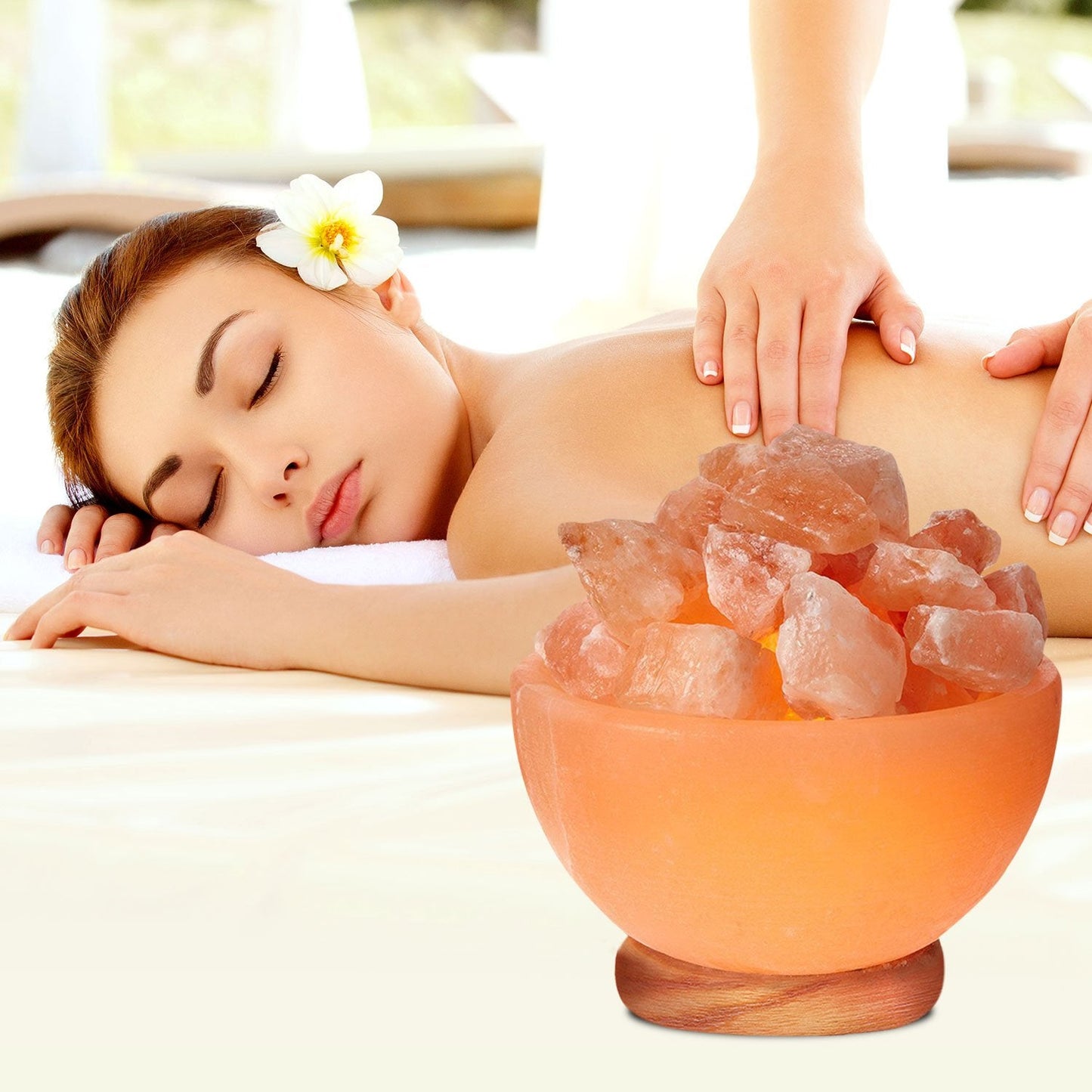 Himalayan Glow 1326 Natural Pink Salt Bowl Night Lamp with Crystal Salt Chunks