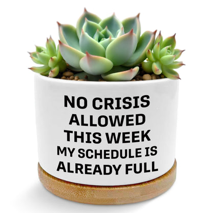 ROXMART Funny Office Gifts Plant Pots, Sarcastic Gifts for Women Men Coworker Boss Succulent Planters, No Crisis Allowed This Week Ceramic Plant Flower Pots for Home Office Desk Table Shelf(No Plants)