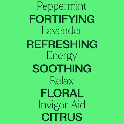 Plant Therapy 7 & 7 Essential Oils Set 7 Single Oils: Lavender, Peppermint & More, 7 Synergy Blends 100% Pure, Undiluted, Natural Aromatherapy, Therapeutic Grade 10 mL (1/3 oz)