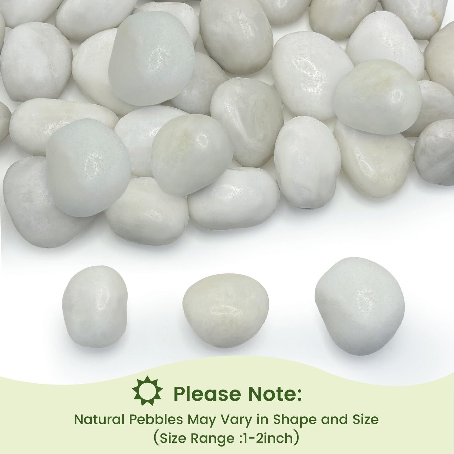 SIDONG 10 lbs White River Rocks, Polished Pebbles for Indoor Plants, 1-2 inch Decorative White Stones for Plants Vase Aquarium Fish Tank and Outdoor Garden Landscaping Rocks