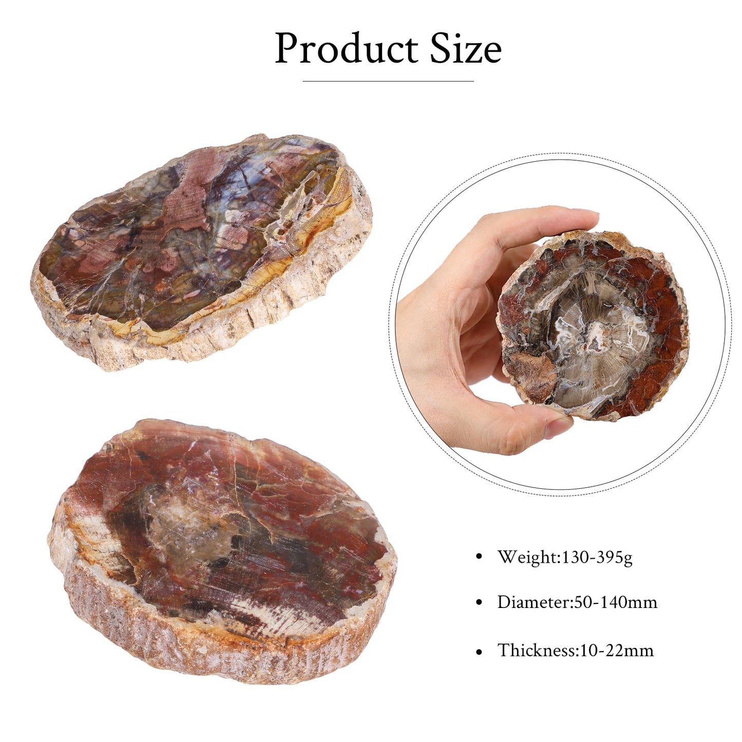 SUNYIK Irregular Natural Petrified Wood Slab Slice Stone Mineral Specimen 3"-5", Pack of 1