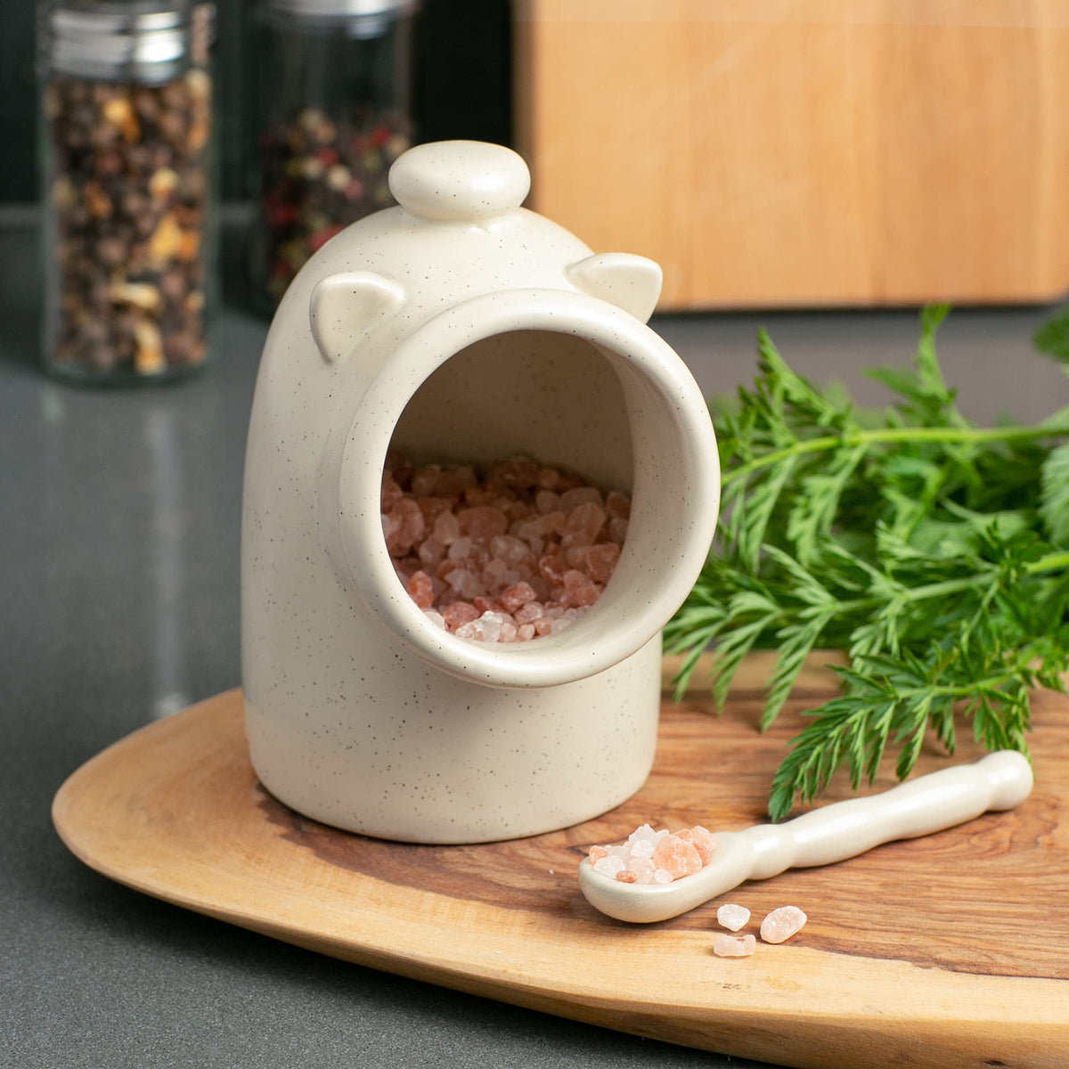 RSVP International Stoneware Salt Pig and Spoon Set, Wide Mouth, Dishwasher Safe, 3x3.25x5", Oatmeal