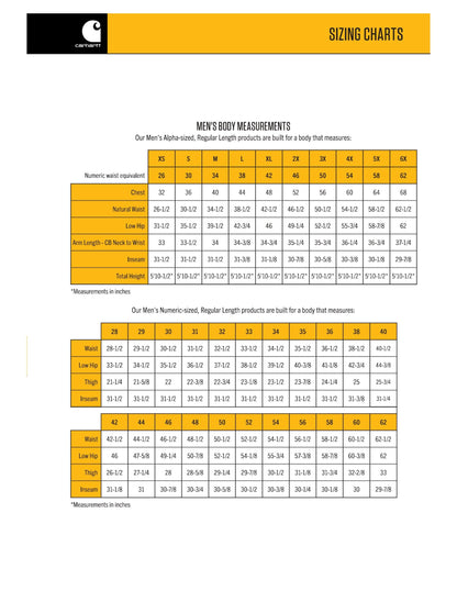 Carhartt Men's Rain Defender Paxton Heavyweight Hooded Zip Mock Neck Sweatshirt,Heather Gray,X-Large