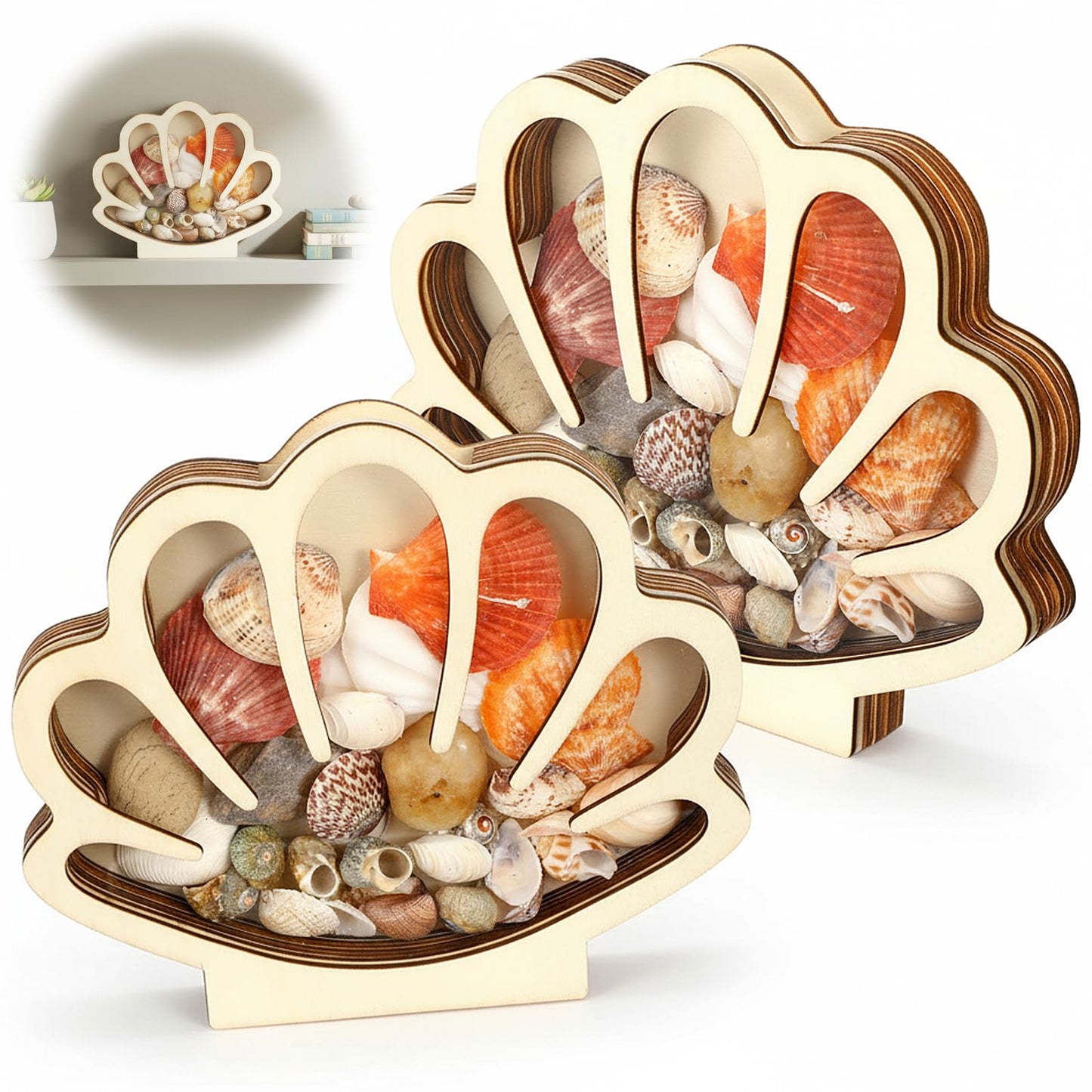 Ckhoid 2PCS Sea Shell Holder, Wooden Seashell Display Case with Clear Window, Small Shadow Storage Box for Shells Starfish Shark Tooth Keepsake, Coastal Beach Room Collection Container Decor Gift