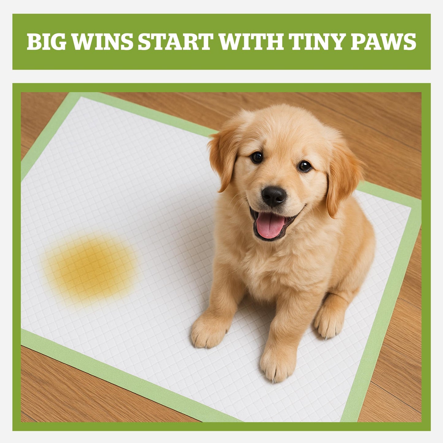 Pogi's Dog Training Pads with Sticky Tabs – Eco-Friendly, Odour Blocking & Super Absorbent – 40-Pack (60 × 90 cm)