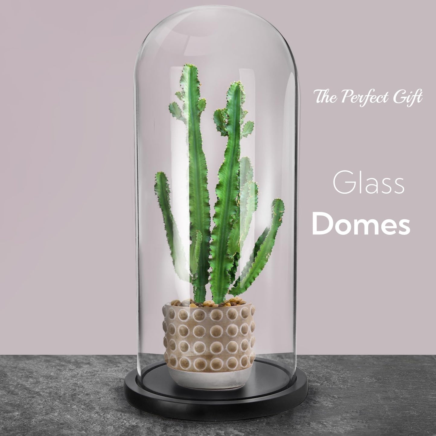 ZOOFOX 13.8 Inch Tall Glass Dome with Base, Clear Glass Empty Display Cloche, Decorative Bell Jar for Succulents, Collectibles, Fairy Lights, Photos, Medals, Heirlooms
