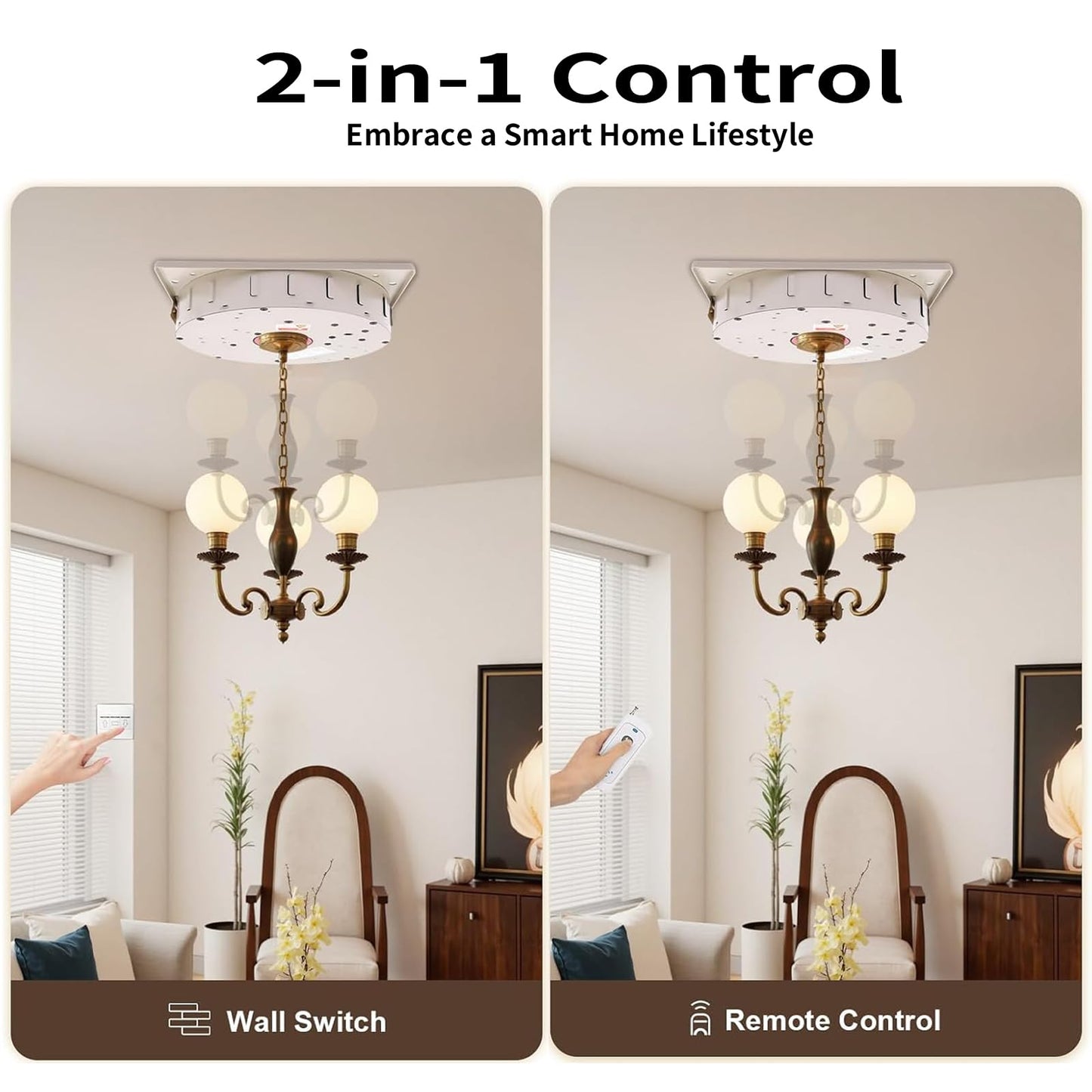 Motorized Chandelier Hoist Lift System, 2-in-1 Heavy Duty Chandelier Lifter with Wall Switch and Remote Control, 110V 220LBS Electric Villas Pendant Lamps Lifter 8M Lifting Height for Installation