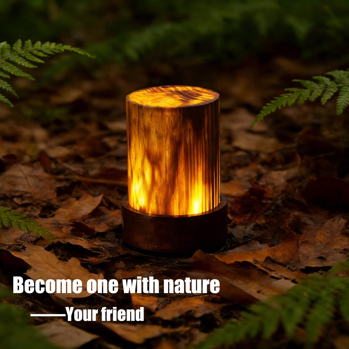 mofilaya LED Night Light Wood -100% Handmade Cordless Lamp Rechargeable USB Battery Operated,Warm Mood Light,Small Touch Night Light for Bedroom,Travel,Living Room,Dormitory