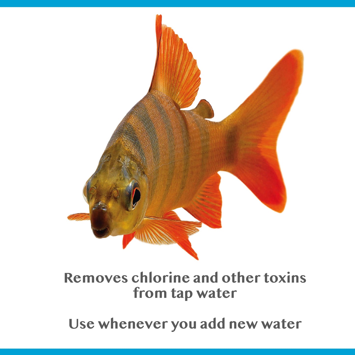 Interpet Bioactive Tapsafe Aquarium Water Dechlorinator & Conditioner, 500 ml, Keeps Fish Safe, Fast Acting, Removes Harmful Toxins from Tap Water Before Adding to Your Tank