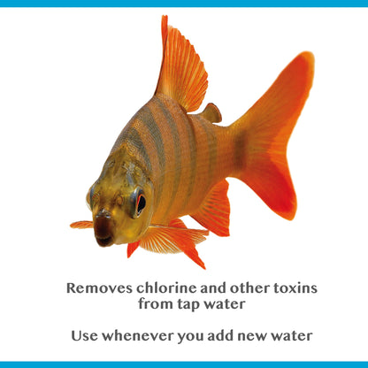 Interpet Bioactive Tapsafe Aquarium Water Dechlorinator & Conditioner, 500 ml, Keeps Fish Safe, Fast Acting, Removes Harmful Toxins from Tap Water Before Adding to Your Tank