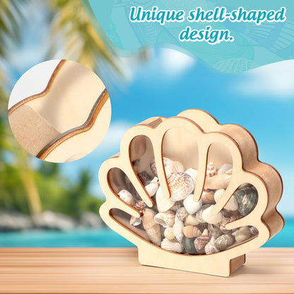 Xylolfsty Seashell Display Box Wooden Seashell Holder with Acrylic Panel Storage Box for Shells Sea Glass Small Starfish Shark Tooth Seashell Collection Home Decor Birthday Present