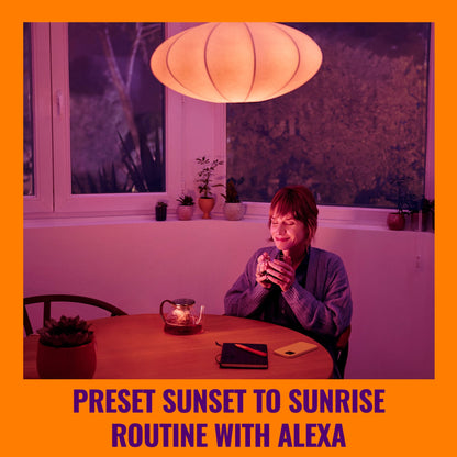 WiZ Connected Smart Light Bulbs, Sunset to Sunrise Automation + Motion Detection + Control with Voice or App, Full Color A19 60W 800LM Indoor, Matter Compatible -3 Pack
