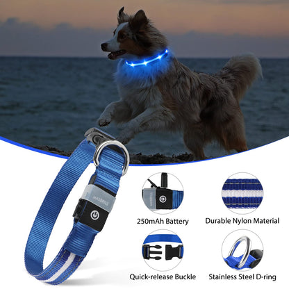 MASBRILL Luminous Dog Collar, LED Rechargeable and Waterproof Dog Collar, 3 Glowing Modes and Adjustable Size Suitable for Small Large Dogs (Blue, M)