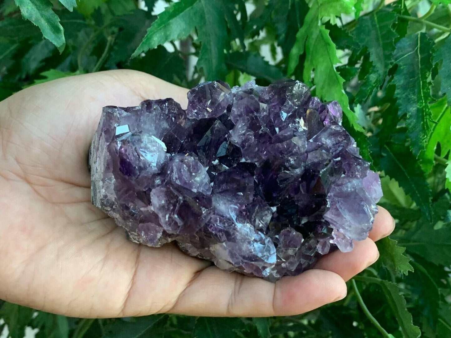GAF TREASURES Deep Purple Amethyst Cluster, Natural Amethyst Geode, Amethyst Druze, Raw Amethyst Crystal (0.5-1 lb)