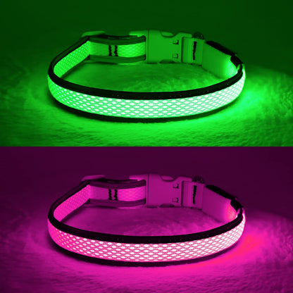 YFbrite Light up Dog Collar, Rechargeable LED Dog Collar, Flashing Dog Collar, Adjustable Reflective Dog Collar Safety Glowing at night (Pink, Medium)