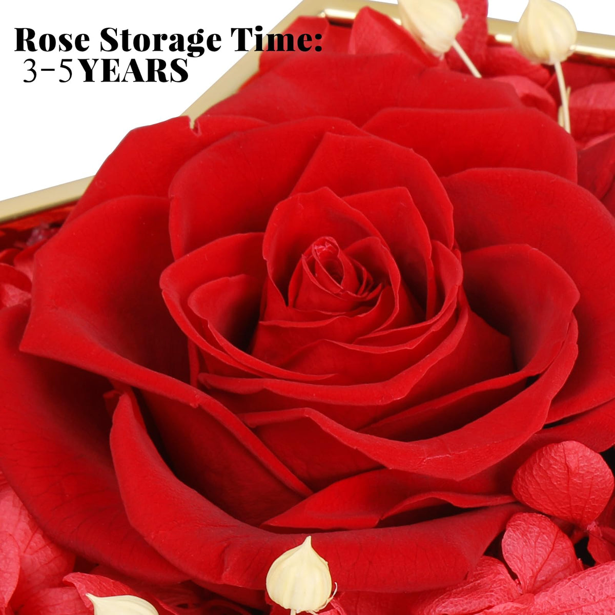Joniuuca Preserved Real Red Rose Gift Box with Heart Necklace - Eternal Flower Gift for Mothers Day, Girlfriend, Wife, Mom on Valentine's Day, Birthday, Christmas, Anniversary, Thanksgiving(Golden)