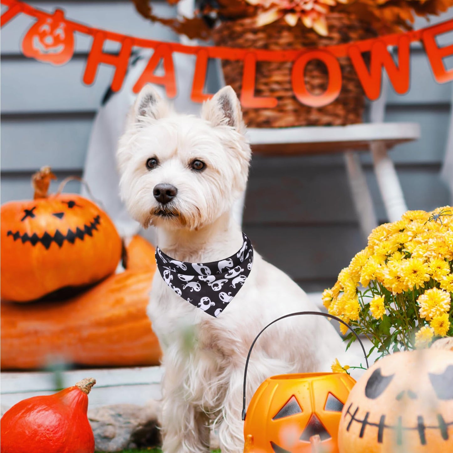 PAWCHIE Halloween Bandanas 4 Pack, Reversible Pumpkin Dog Scarf Bibs, Dog Holiday Costume Set with Two Adjustable Snaps, Multiple Halloween-Themed Patterns for Puppy, Cats, Pets