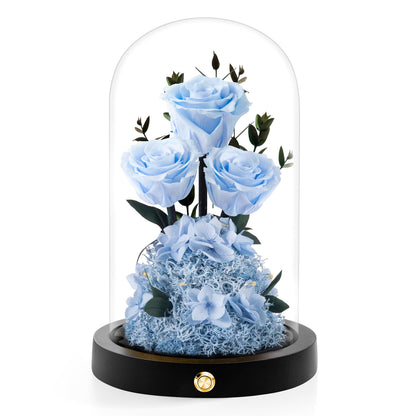 Valentines Day Flowers Roses Gifts for Her,Forever Real Preserved Roses in Glass Dome,Valentines Day Anniversary Birthday Gifts for Wife Girlfriend Women Mom Best Friend Her/Purple Rose