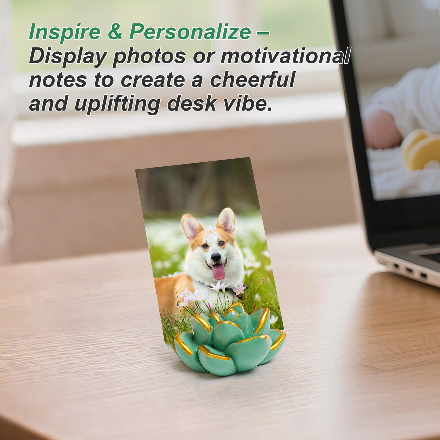 SB Goods Resin Succulent Business Card Holder Set of 3 (White/Purple/Green) - Modern Desk Organizer for Office & Store, Vertical Name Card Display Stand - Unique Gift Idea & Home Decor