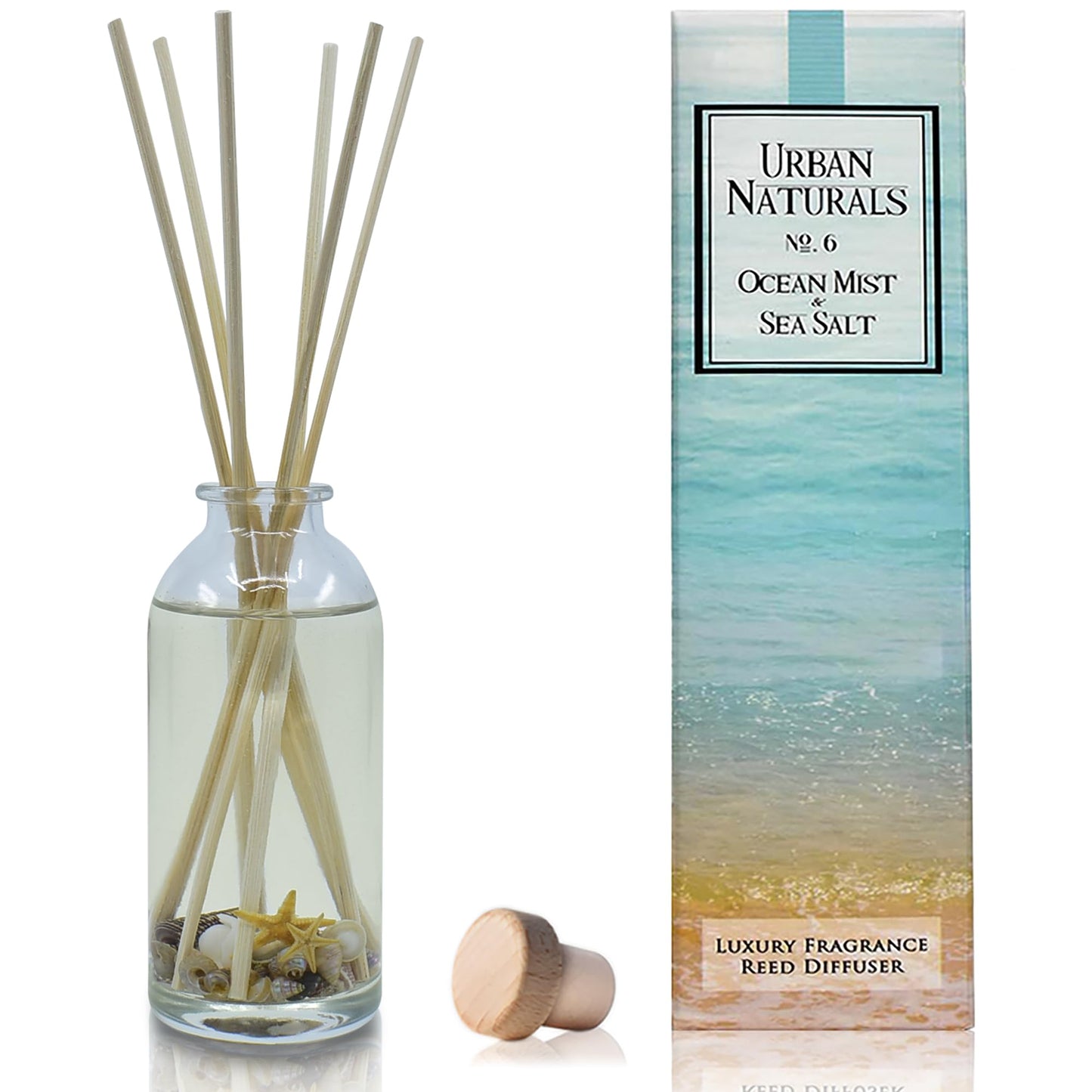 Urban Naturals Ocean Mist & Sea Salt Reed Diffuser Set | Made with Essential Oils & Real Seashells | Decorative Air Freshener Room Diffuser