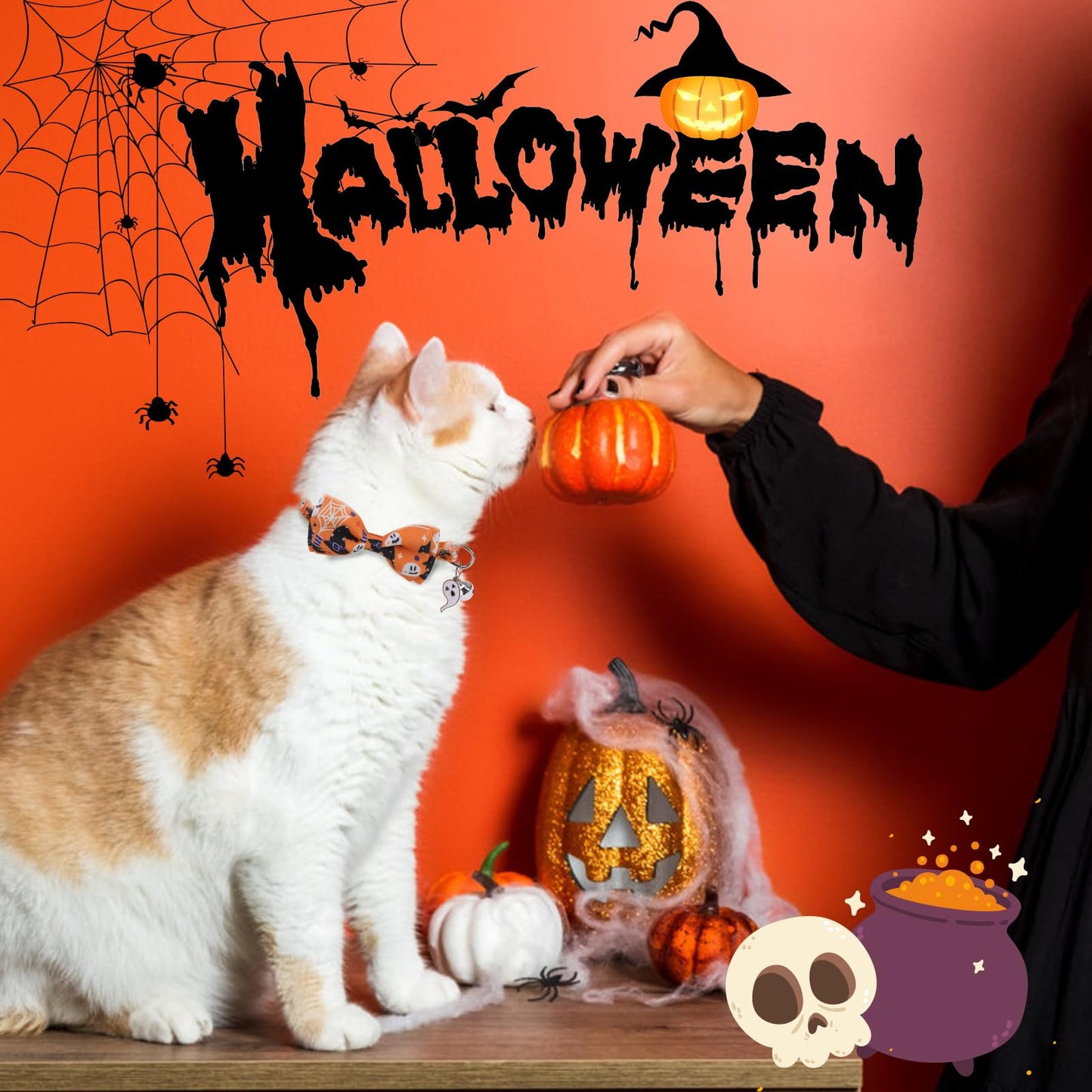 SCENEREAL Halloween Cat Collar Breakaway 3 Pack, Safety Collars, Pet Accessory for Outdoor and House Cats Kittens, Orange Purple