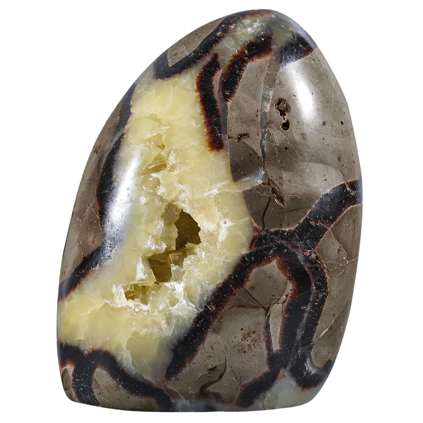Sportmusies Natural Septarian Dragon Stone Geode Mineral Specimen Decoration for Reiki Home Office Desk, 3.07-4.52 Inches