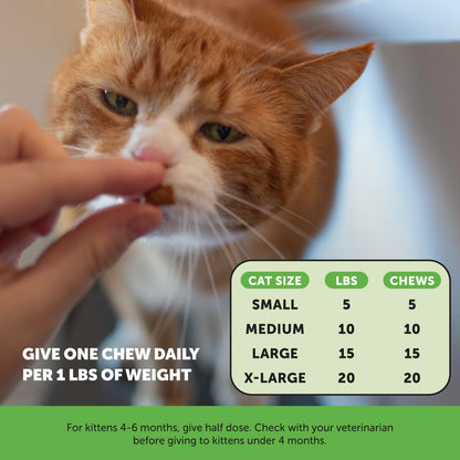 Cat Probiotics Gut + Immune Health Crunchy & Creamy Chews - Digestive Health, Supports Gut Health, Immunity, Healthy Digestion + Cat Constipation Relief - Chicken 30-Day Supply