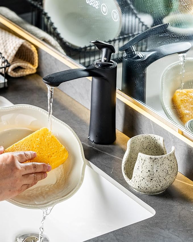 Sponge Holder for Kitchen Sink, Ceramic Dish Sponge Dish Rack Scrubby Caddy
