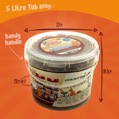 Chubby Mealworms (5 Litre), Dried Mealworms For Wild Birds, Protein Rich Dried Meal Worm High Energy for WildBirds, Reptiles, Gecko