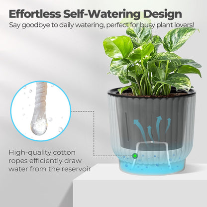 T4U 6 Inch Self Watering Pots for Indoor Plants, 6 Pack White Plastic Flower Pots for All House Plants, Flowers, African Violets