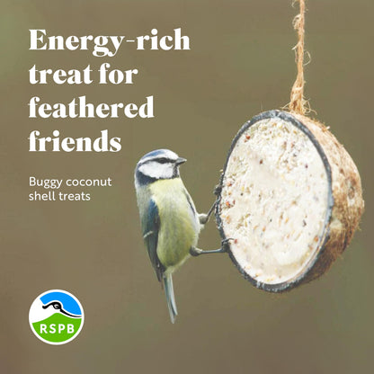 Coconut Bird Feeder Halves, Wild Bird Food for Small Birds with Suet, Dried Mealworms, Seeds, and Cereals, High Energy Food, Filled in the UK, Suitable for Year-Round Feeding - RSPB x 10 (320g)