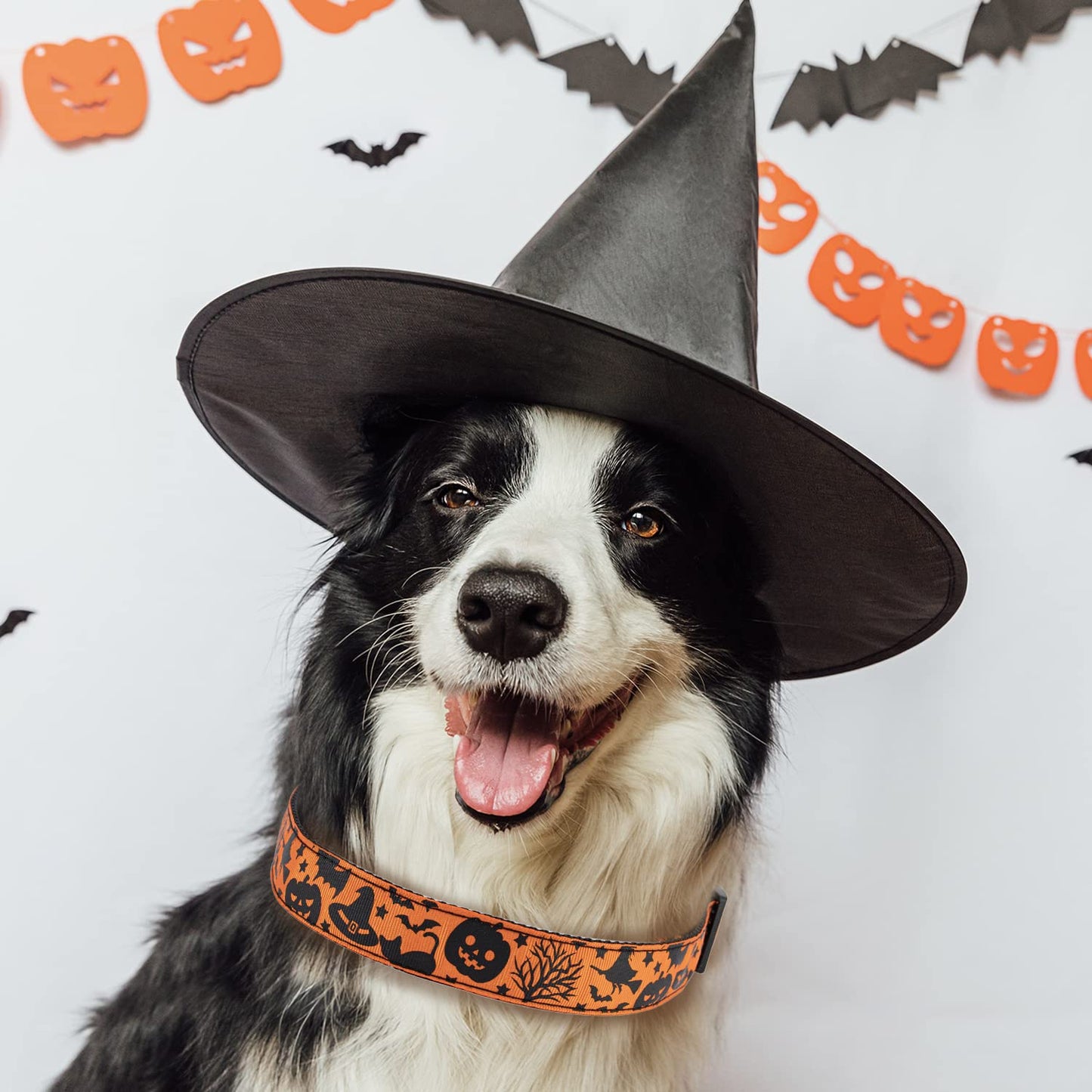TDTOK Halloween Dog Collar, Soft Comfy Halloween Themed Pet Collar with Spooky Ghost Skull Bat Cat Witch Tree Hat Pumpkin Pattern for Small Medium Large Dogs (1 PCS)