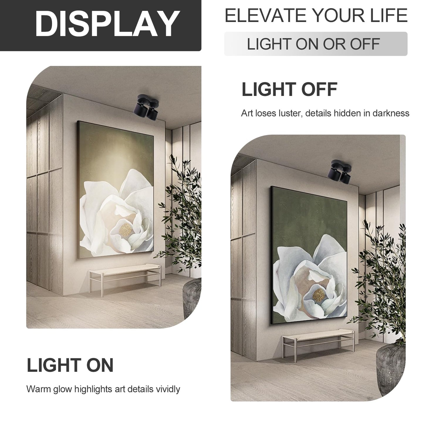 HITOO Ceiling spot Lights Indoor, Ceiling Accent Lights 3000-6000K Selectable, 20W Dual Head LED Spot Lights, CRI 98, 220° Directional, Black Ceiling Spotlight for Kitchen, Plant, Living Room
