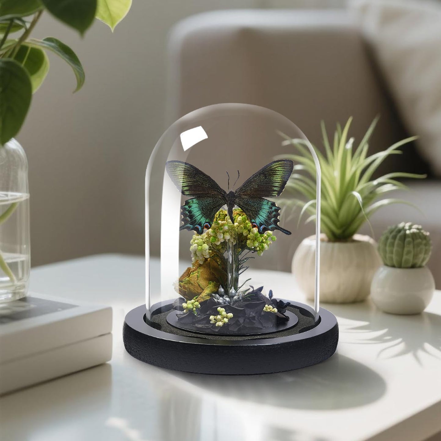GDBEH Handmade Butterfly Specimen Boxes Glass Cover Ornaments, Dried Flowers, Plants, Holiday Decorations Birthday Gift for Women (Green-Banded Queen Butterfly)