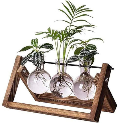 Kingbuy Plant Terrarium Propagation Station - 3 Glass Bulb Vases with Retro Wooden Stand Boho Desktop Planter for Hydroponics Home Garden Indoor Home Office Decor Unique Gifts for Women & Plant Lovers