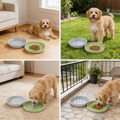 2 Pack 7 Inch Shallow Pet Bowls - Silicone Cat & Dog Food Dishes for Whisker Fatigue Relief - Non-Slip Flat Feeding Bowls for Dry/Wet Food & Water (Green & Gray)