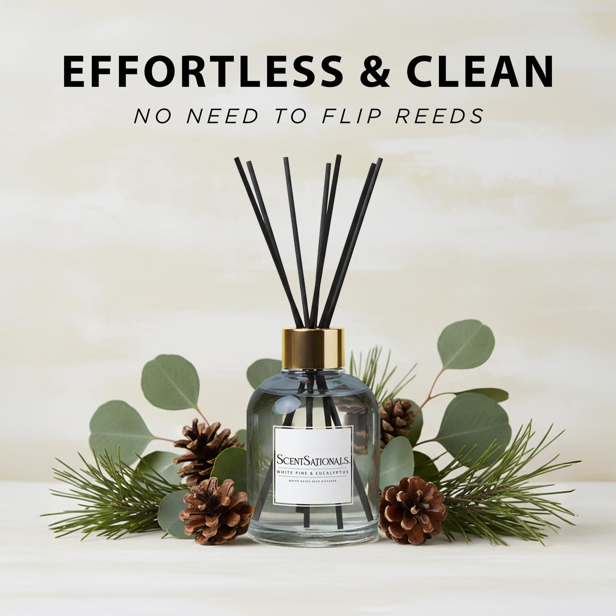 ScentSationals Water-Based Reed Diffuser - White Pine & Eucalyptus - 5 FL OZ Aromatherapy Reed Diffuser