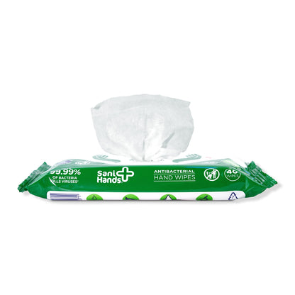 Sani Hands - Anti-bacterial Hand Wipes - Dermatologically Tested, Biodegradable Wet Wipes - 10x12 Wipes (120 Wipes)